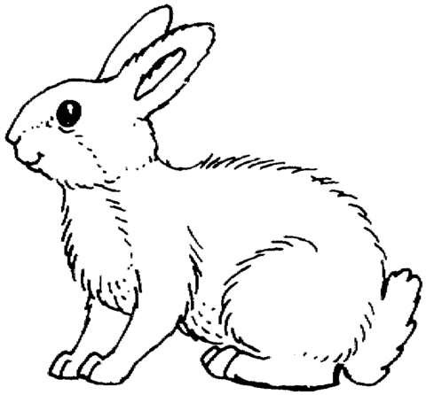 White Rabbit Coloring Page